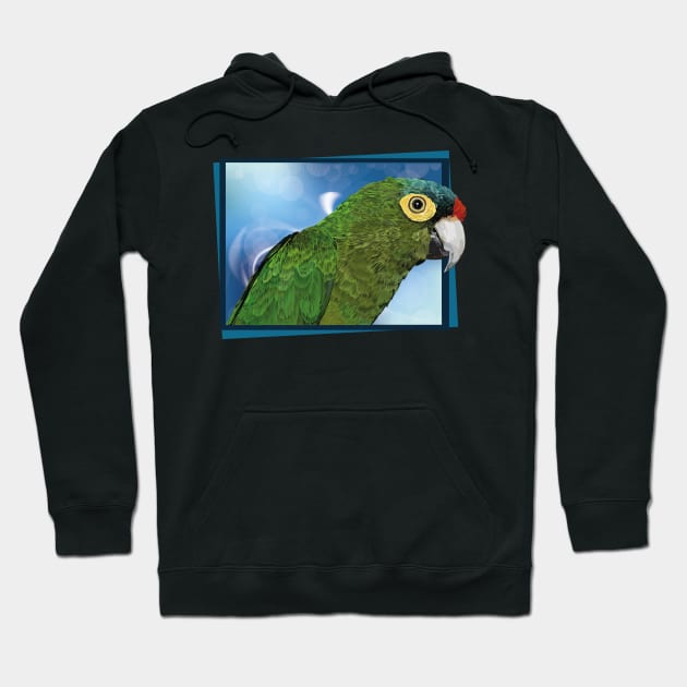 orange faced parakeet Hoodie by obscurite